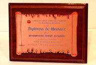 Plachete gravate oglinda rosie suport lemn