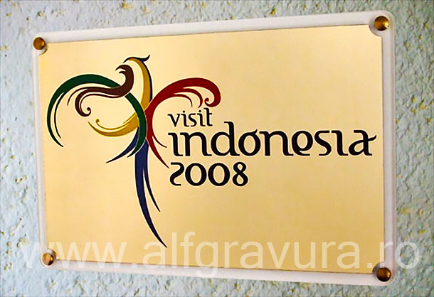 Placa gravata oglinda aurie