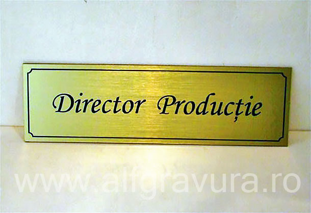 Placa gravata Director Placa gravata Director