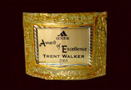 Trofee convexe sticla aurie