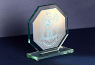 Trofee sticla octogonale 1